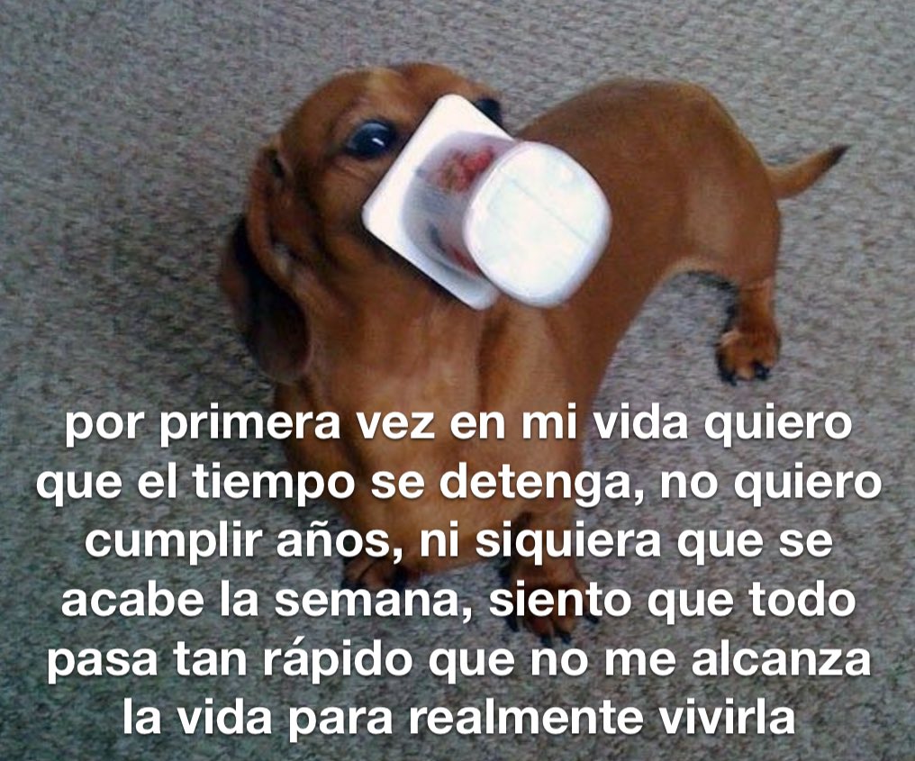 conoloracigarro's tweet photo. https://t.co/OzA9s5yQoJ