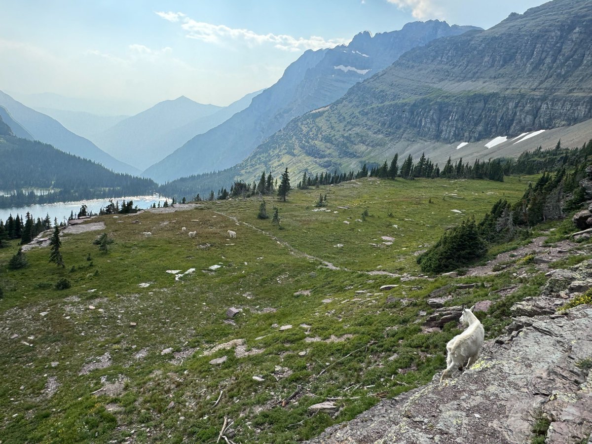 Welsher Lab @ Duke tweet media