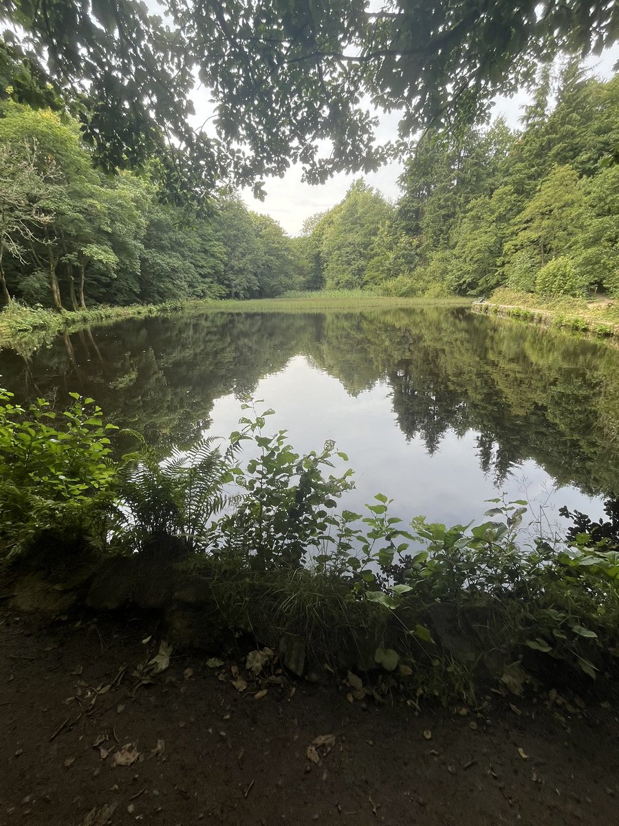 sarah inglis (@saslixxx) on Twitter photo Well earned refreshment <a href="/theDandP1/">The DogAndPartridge</a> after completing the Rivelin Valley Trail -5hrs picnic 🧺 19k steps. #Sheffieldissuper <a href="/Sheffieldis/">#Sheffieldissuper</a> Well earned refreshment <a href="/theDandP1/">The DogAndPartridge</a> after completing the Rivelin Valley Trail -5hrs picnic 🧺 19k steps. #Sheffieldissuper <a href="/Sheffieldis/">#Sheffieldissuper</a>