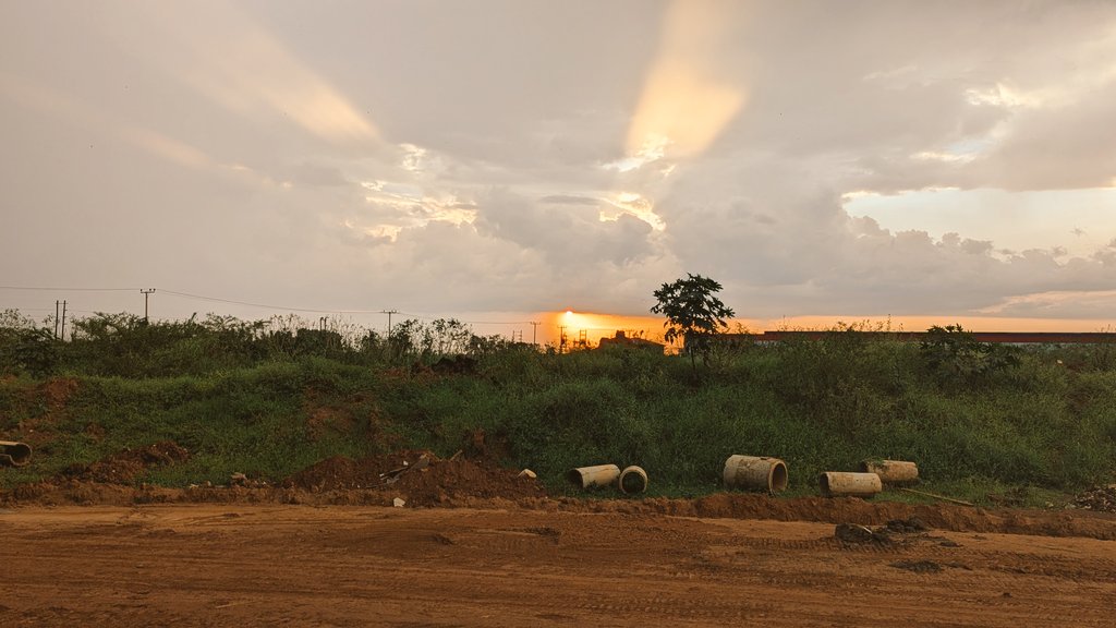 Who has seen it already 🤔