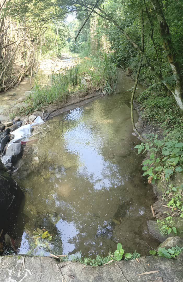 #ARAGUA | En el marco del Plan de Mitigación y Control de Inundaciones, así avanzan las labores de limpieza y desazolve del Río El Limón, sector #CONARE del municipio #MBI; dónde se ha recuperado parte de la sección hidráulica permitiendo el óptimo flujo del río.