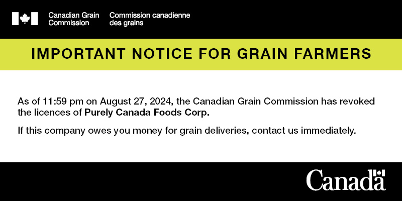 As of 11:59 pm on August 27, 2024, the Canadian Grain Commission has revoked the licences of Purely Canada Foods Corp. If this company owes you money for grain deliveries, contact us immediately: ow.ly/hWUm50T8OPE #MbAg #SkAg #AbAg #WestCdnAg