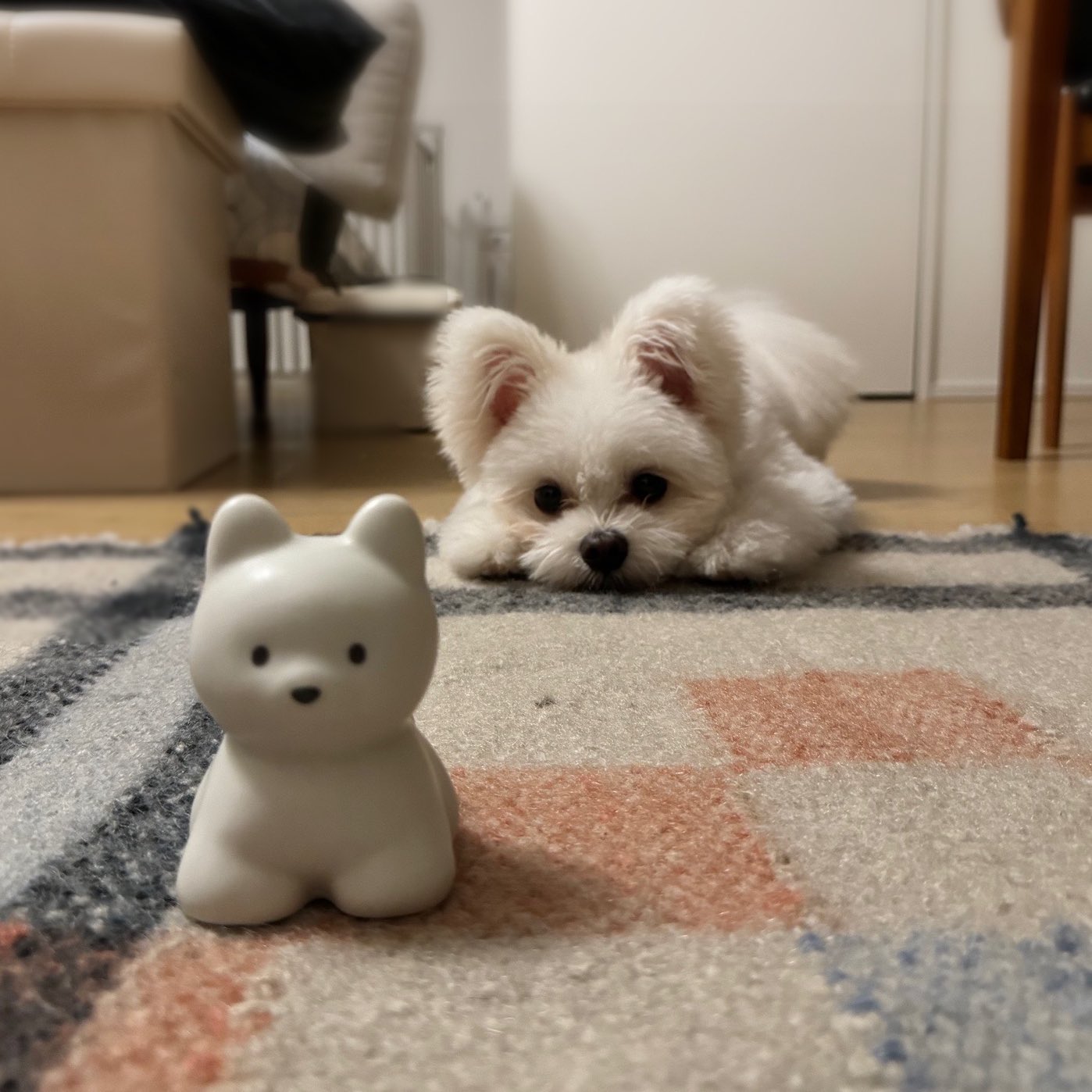 てらおかなつみ 瀬戸焼のいぬの置物(たれみみ白) てらおかなつみ 瀬戸焼のいぬの置物(たれみみ白) – 中外陶園
