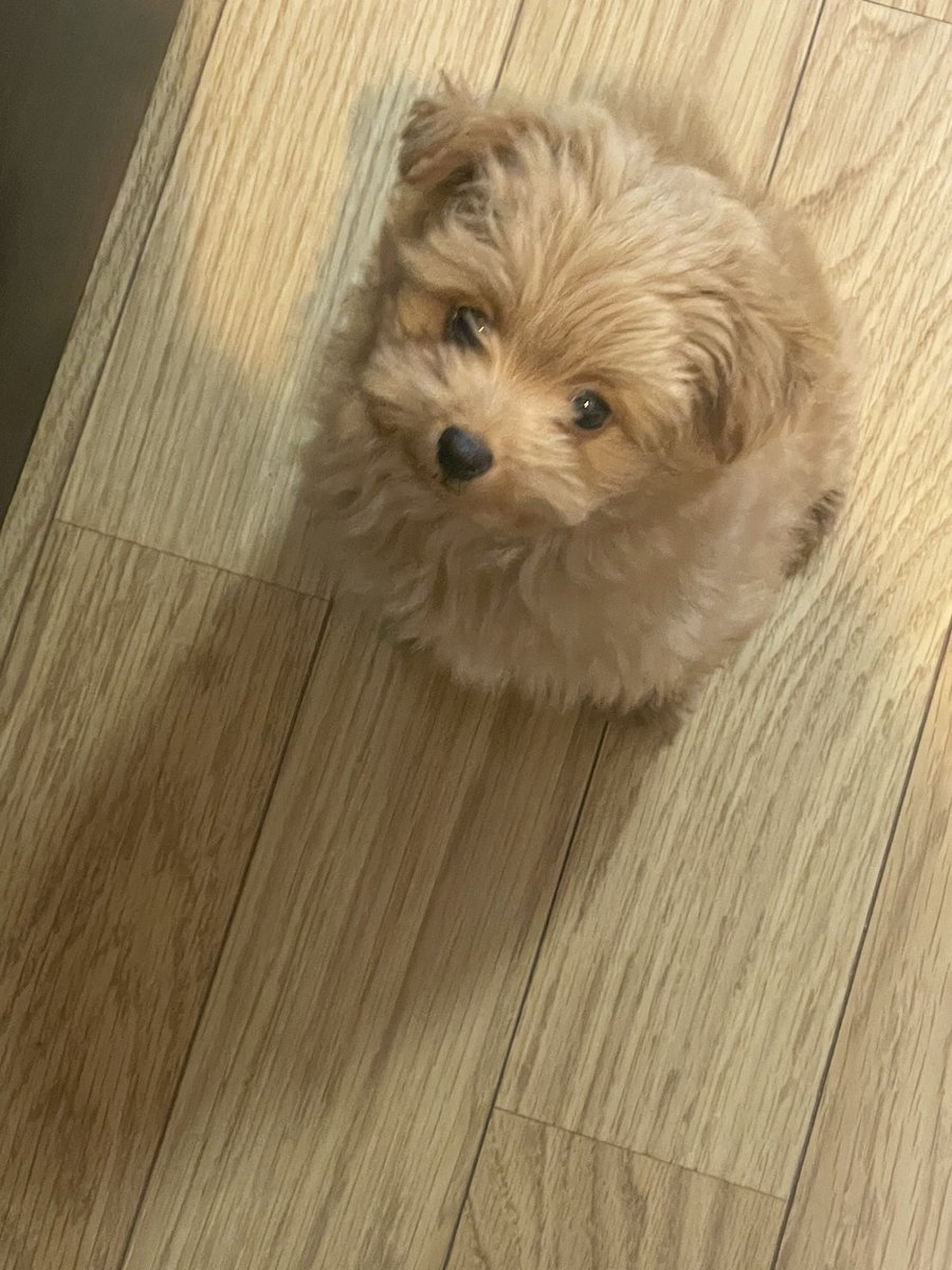 台風来るけど、シルビア立体駐車場に入れようか悩んでる。
みんな、どんな対策してんだろうか気になる。