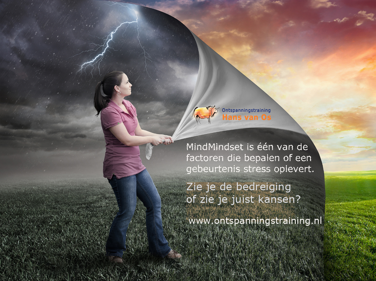 Ontspanningstraining tweet media