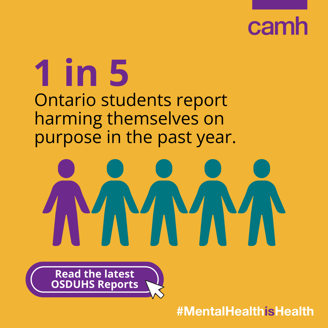 CAMHnews's tweet photo. 🚨NEW! 🚨
According to data from the latest CAMH #Ontario Student Drug Use and Health Survey (#OSDUHS), 19% of  Ontario students reported harming themselves on purpose.

If you’re struggling, Youth Wellness Hubs Ontario (@YWHOntario) can help.

Learn more:
https://t.co/DPidtRPOOJ https://t.co/S9SYl8Xc7d