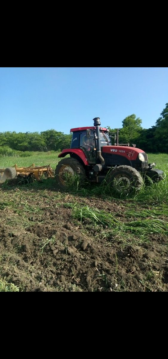 En la UEB Natividad, en la Finca La Santa, se realiza preparación de suelo, para incrementar la siembra de yuca en vísperas de la próxima campaña de frío, ¡Vamos por más¡,  #SurDelJíbaro, #LaSierpe,