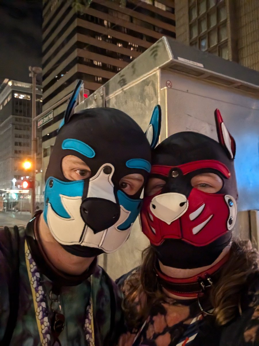 PupSlayth's tweet photo. Had a great time at #Denfur2024 #Denfur didn't take much pictures.  Just enjoyed https://t.co/ZbH9DOAz7A