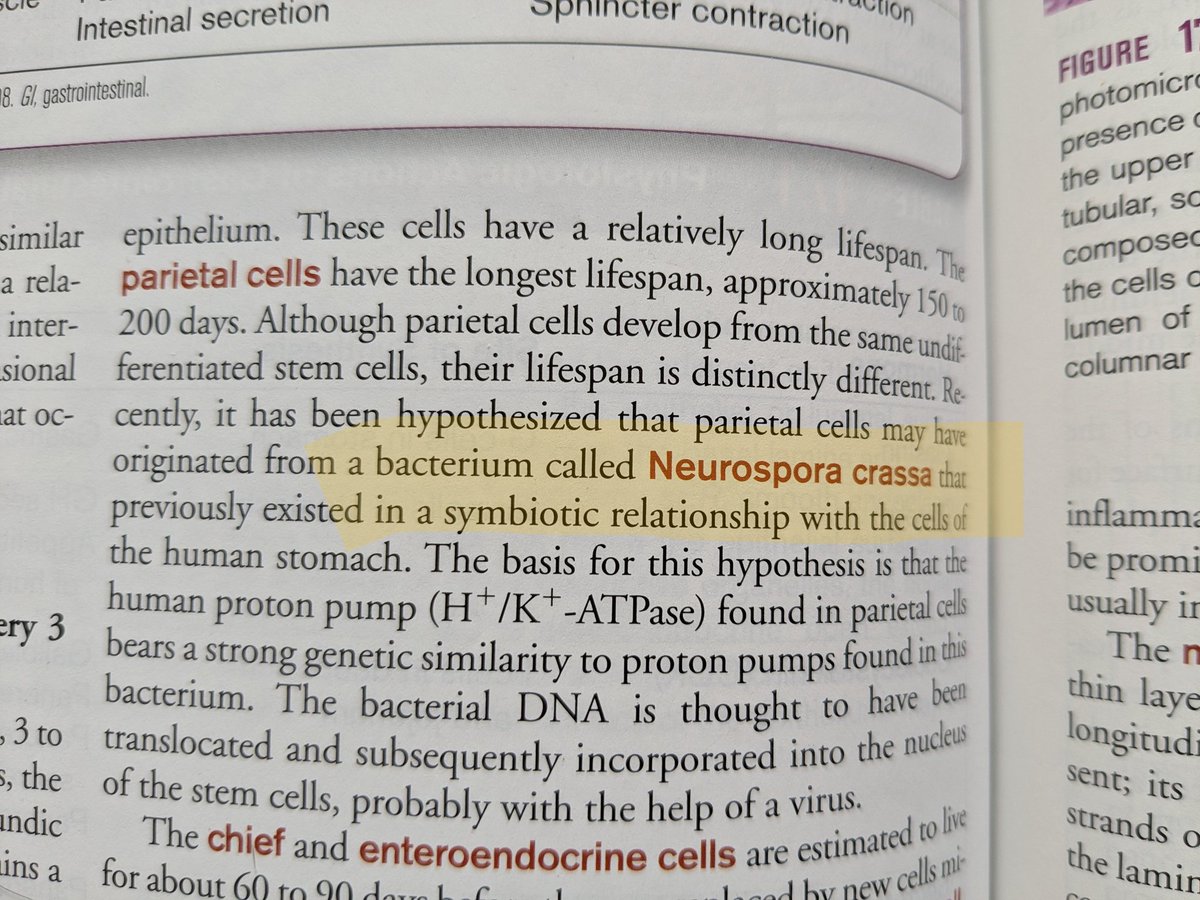 Julian Liber tweet media