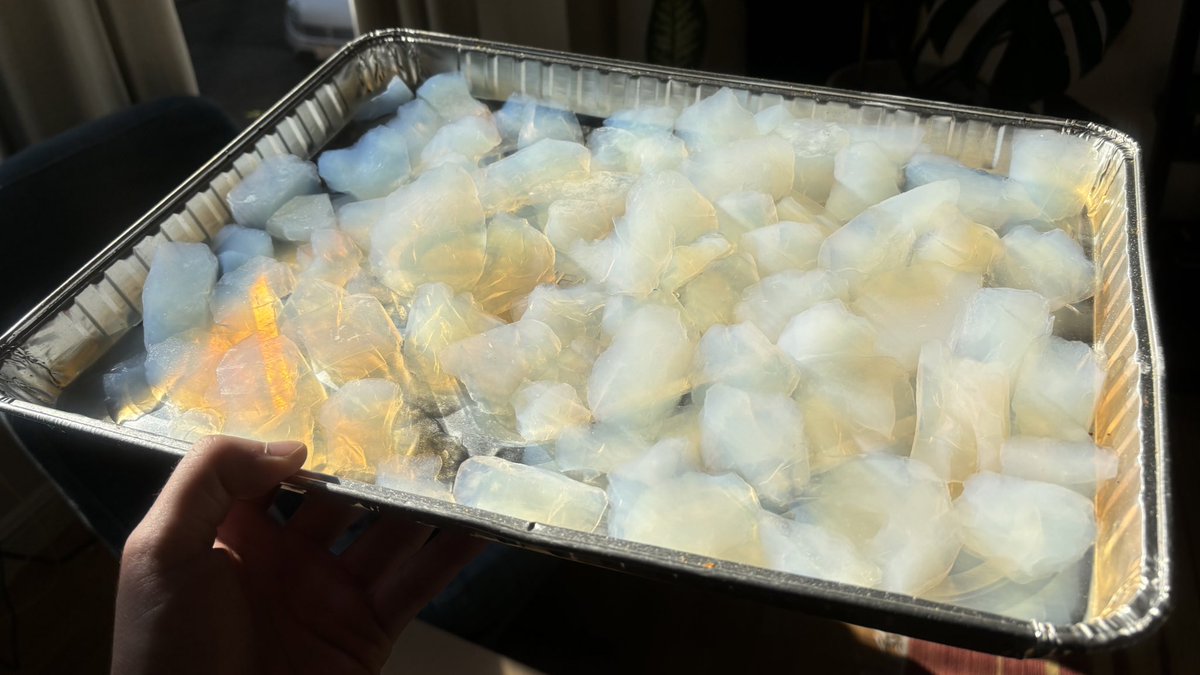 Taylor Tabb tweet media