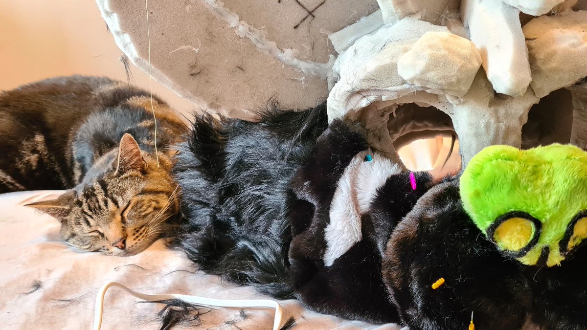 Got encouragement :')