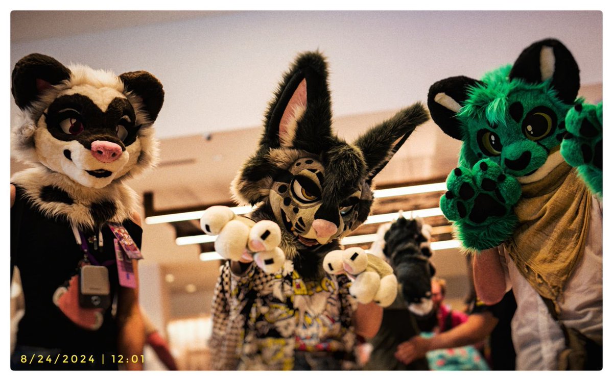 Hocus 🦇🔮 tweet media