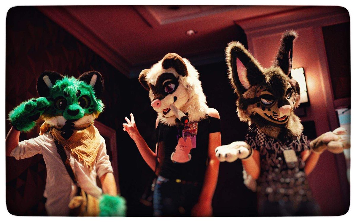 Hocus 🦇🔮 tweet media