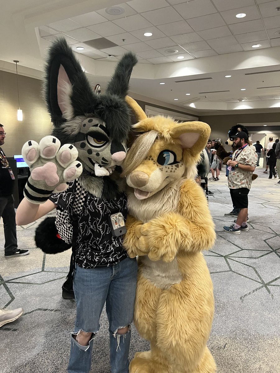 Hocus 🦇🔮 tweet media