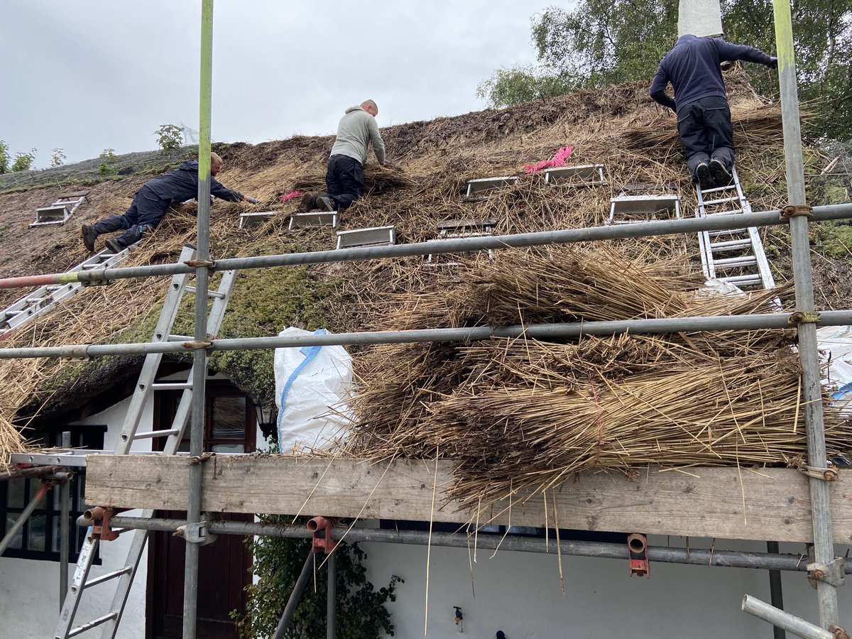 Master Thatchers Ltd tweet media