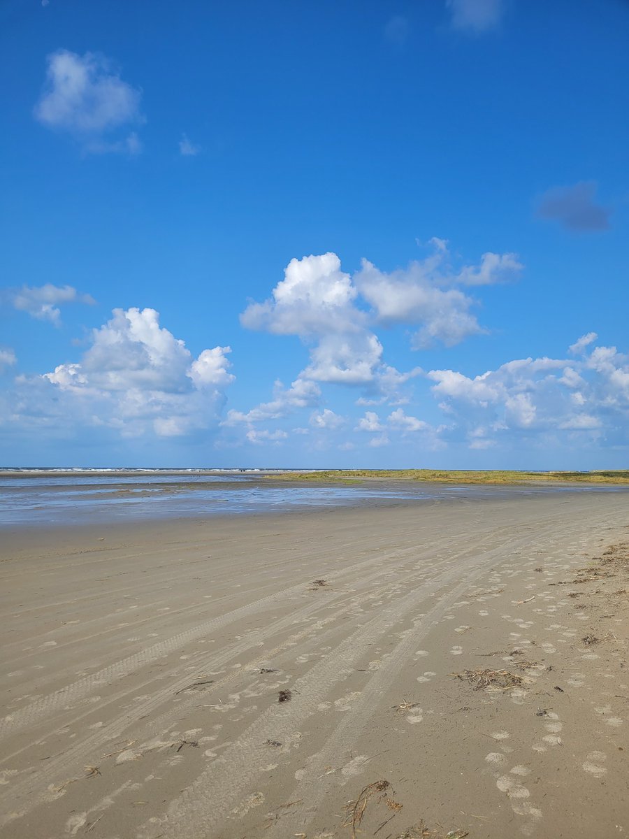 Übrigens für alle die sich wundern: Nein, ich bin nicht wieder in die Untiefen des Ozeans verschwunden. Eure Nymphe ist im Urlaub oder in der Heimat, wie ihr es nennen wollt🤭

Sobald ich wieder zuhause bin geht es mit Streams weiter!
