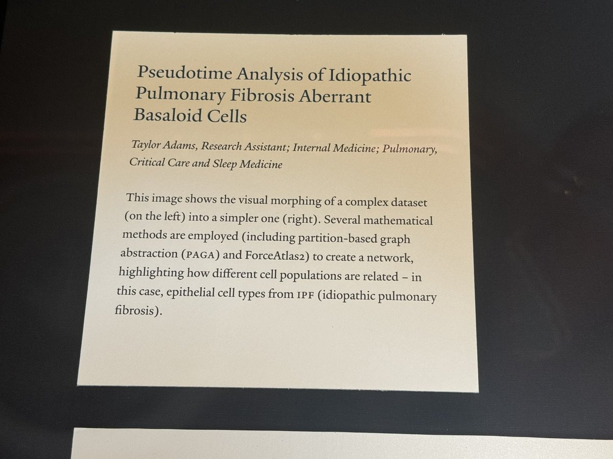 Stop by the Cushing/Whitney Medical Library to see some beautiful data/art from #YalePCCSM’s Taylor Adams and Amy Zhao! Their work is part of the “Data as Art” exhibit on display in the rotunda and corridor through January.