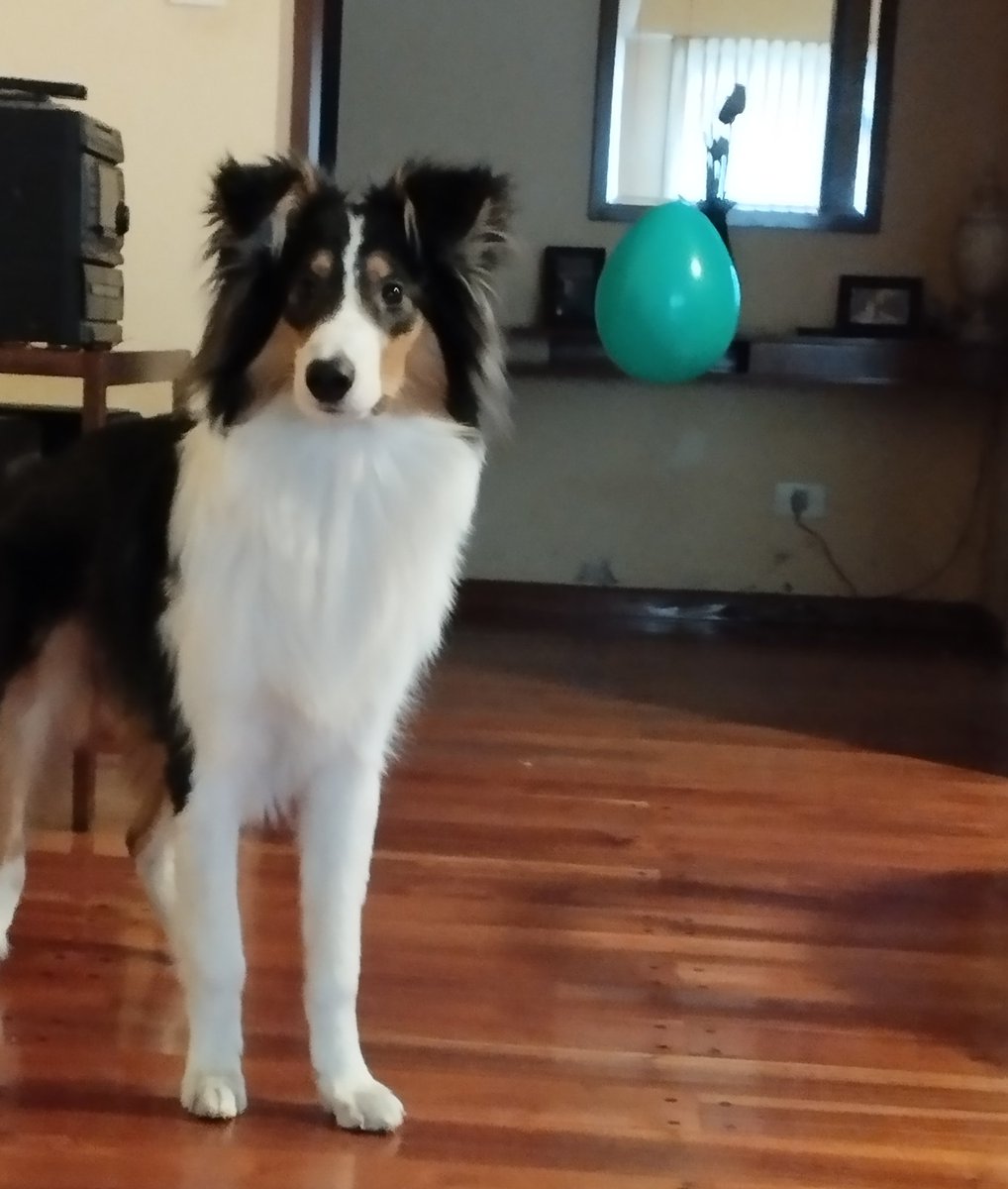 Lo superó, aguante la terapia de exposición.