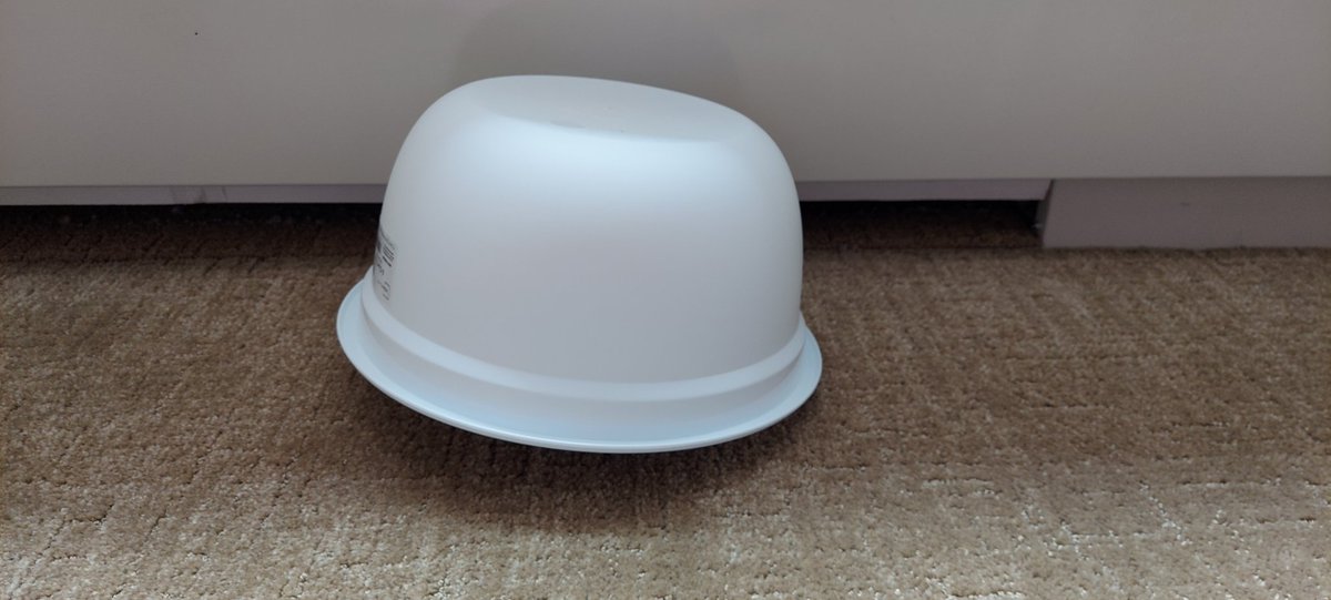 daily_plush's tweet image. Day 650: Bowlsei
He&apos;s under there I swear...