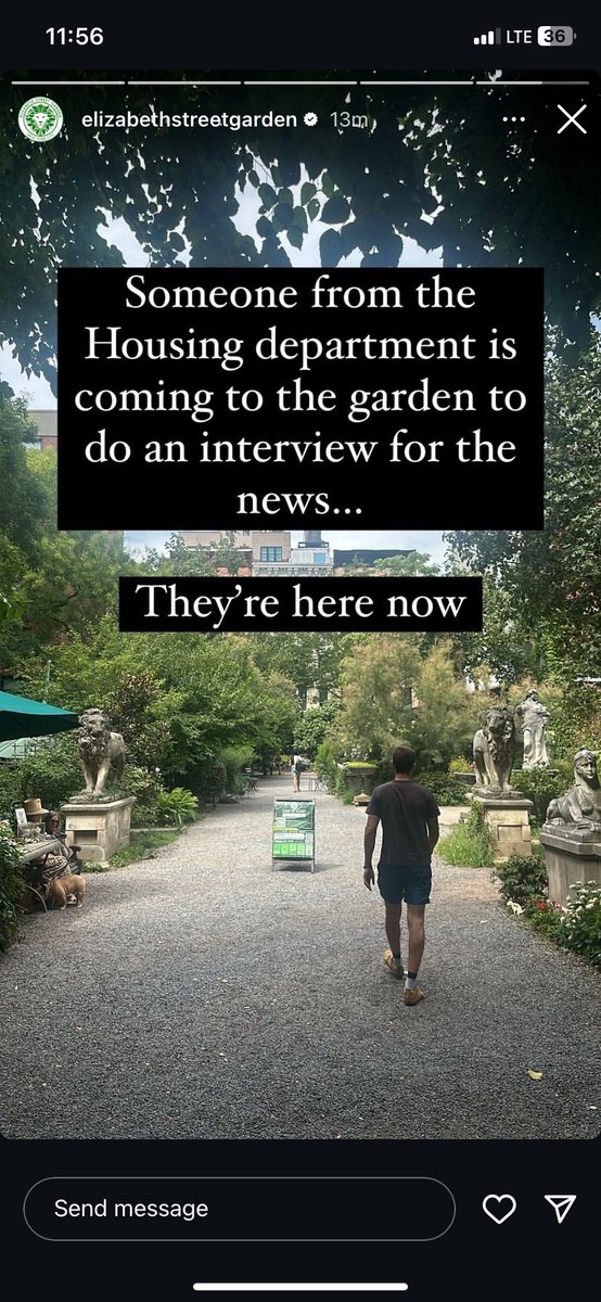 Ilana Maier tweet media