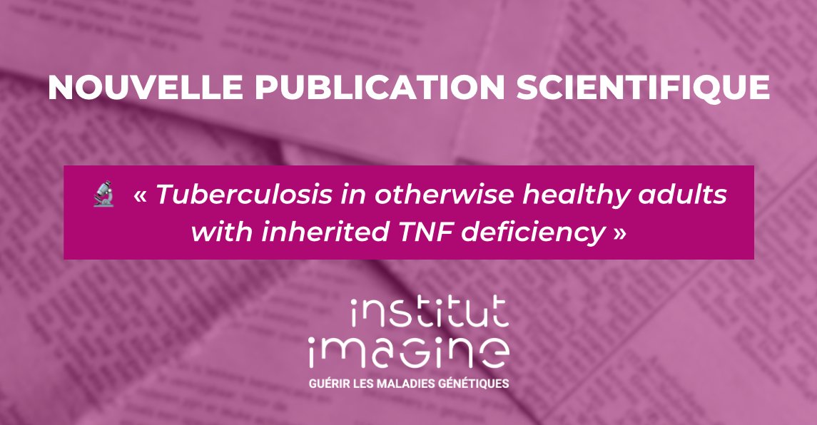 Institut Imagine (@institutimagine) on Twitter photo Félicitations à <a href="/casanova_lab/">Casanova Lab</a> pour leur nouvel article dans @nature mettant en évidence la première déficience héréditaire complète en TNF à l’origine de la tuberculose chez l’Homme !
Pour en savoir plus 👉 nature.com/articles/s4158… Félicitations à <a href="/casanova_lab/">Casanova Lab</a> pour leur nouvel article dans @nature mettant en évidence la première déficience héréditaire complète en TNF à l’origine de la tuberculose chez l’Homme !
Pour en savoir plus 👉 nature.com/articles/s4158…