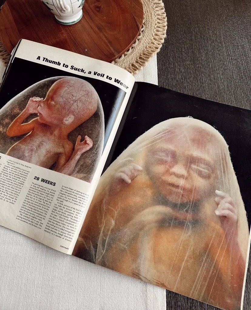 Modern media: “They’re just a clump of cells”

Life Magazine, 1965: