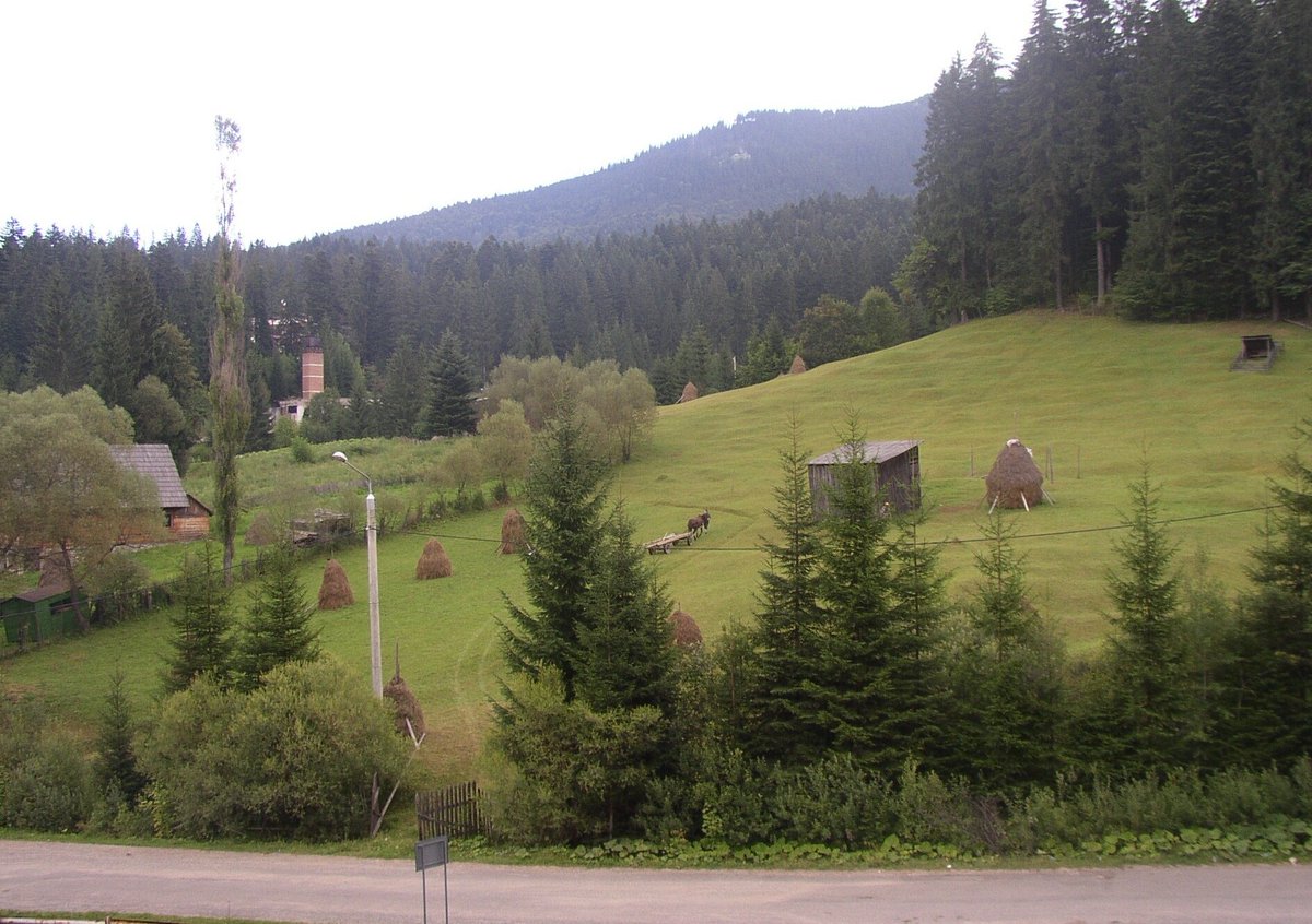 TapardeaA's tweet photo. #summercolours  #Romania https://t.co/O872TIdJrL