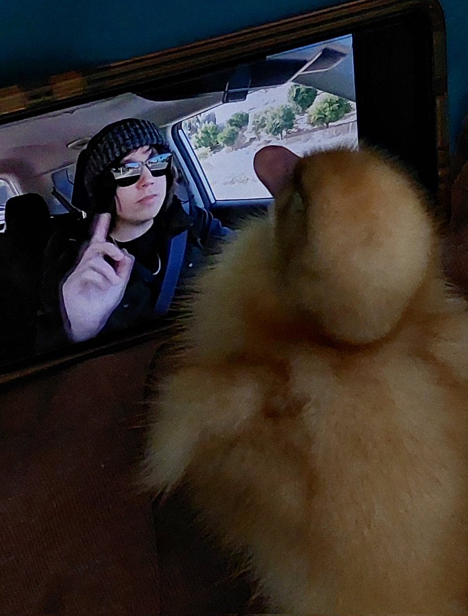 katti_sanzz's tweet photo. Quackity viendo a Quackity https://t.co/llHERoByTe
