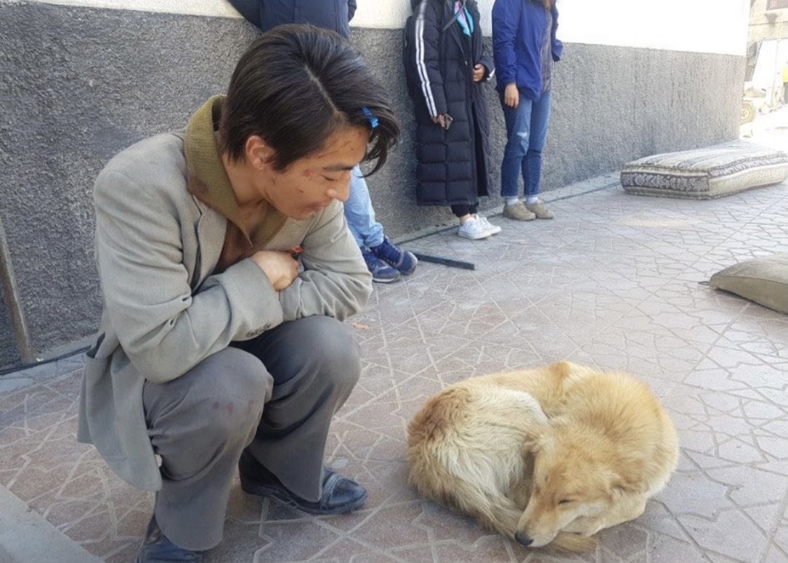 강아디가어디에잇는거지요?
왼쪽?오른쪽?
