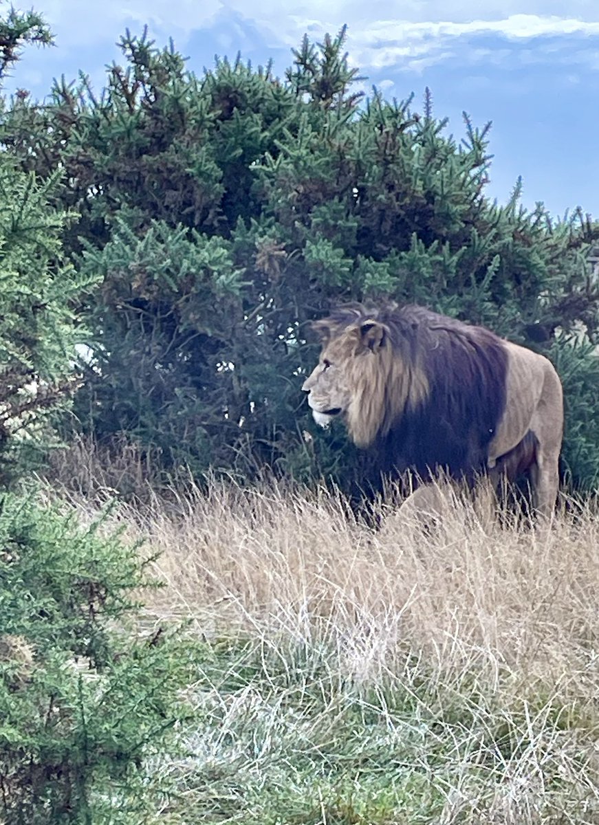 We had a fab day #WMSP ⁦<a href="/Cochuno/">Snooty</a>⁩ ⁦<a href="/ffionawilliams/">ffion</a>⁩ Thanks! 👌👌