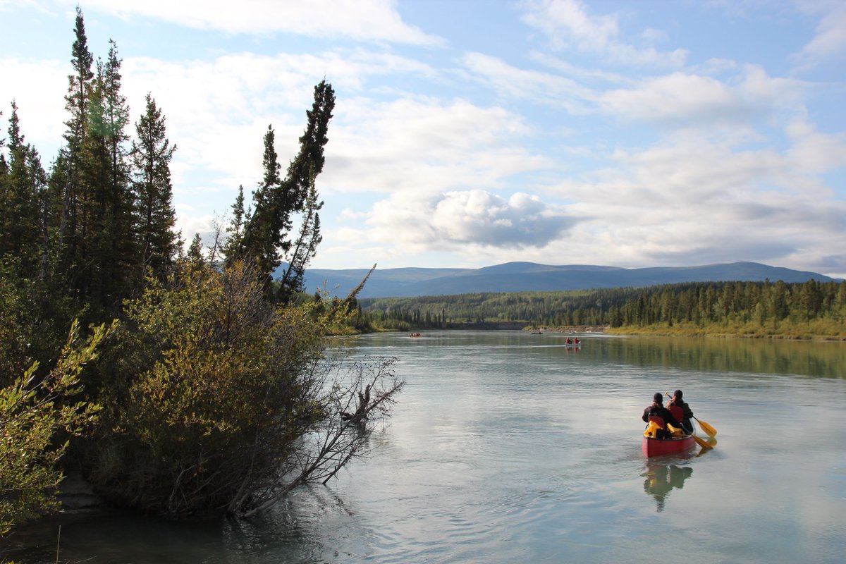 Yukon First Nation Education Directorate tweet media