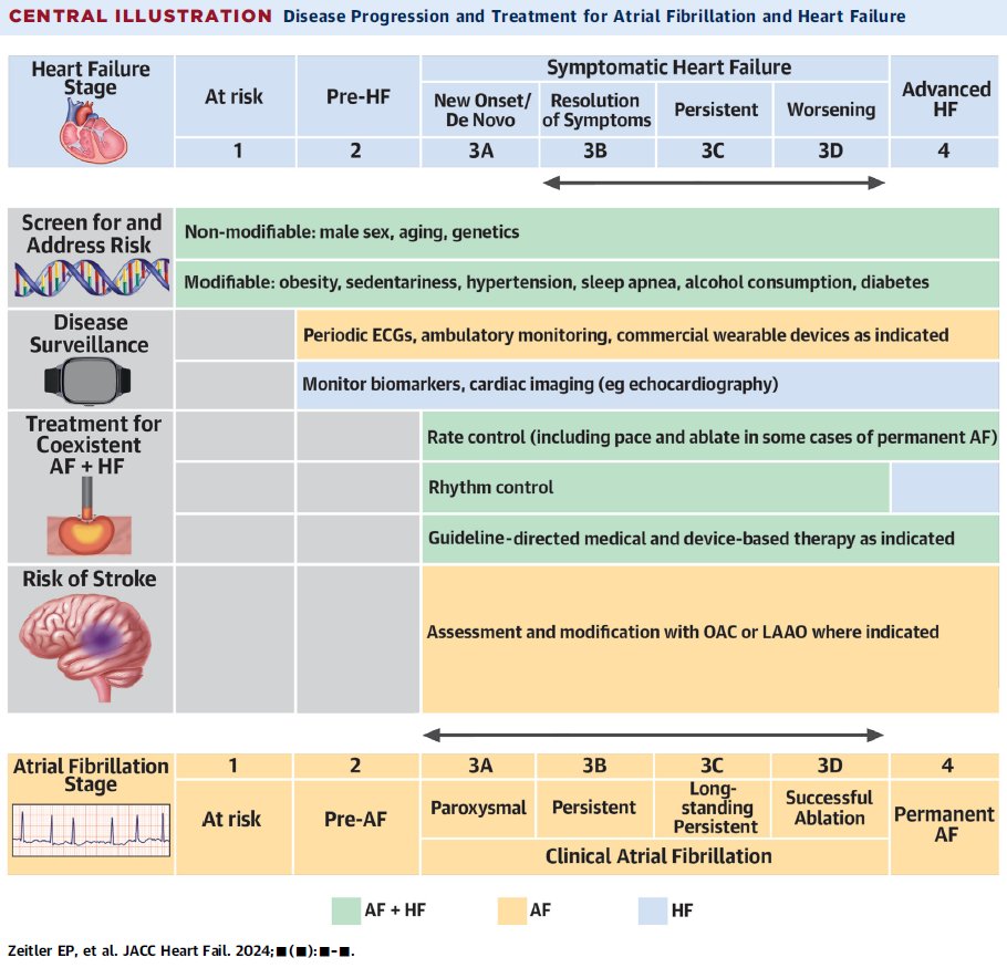 CardioTeca tweet media