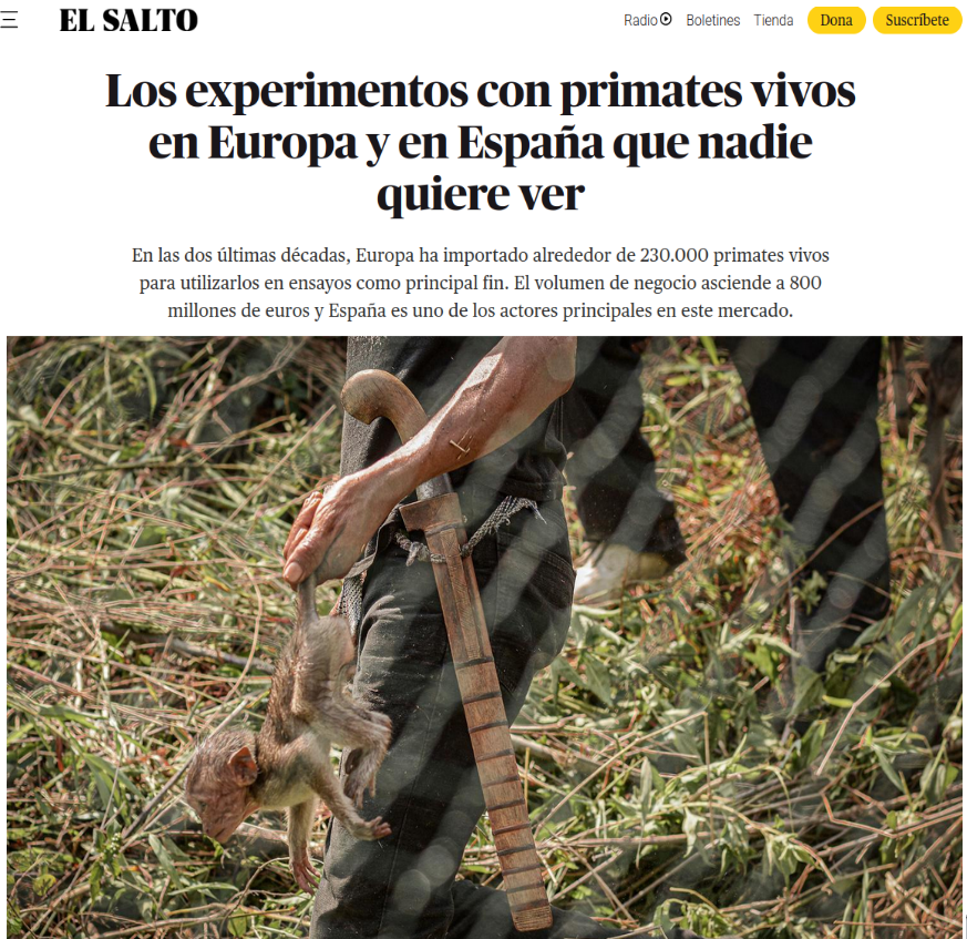 StopCamarles's tweet photo. No, la experimentación animal no es imprescindible ni la “comunidad científica” ve indispensable el “uso” de animales.

El 95% de los tratamientos que pasan las pruebas en animales no son válidos para humanos y, cada vez más científicxs, alertamos sobre el peligro que supone seguir financiando y blanqueando este horrible negocio.

La experimentación animal, además de suponer una indescriptible crueldad, está plagada de incontables fraudes e irregularidades; desde los cotidianos transportes de macacos en peligro de extinción, hasta las atrocidades de los “laboratorios” que los masacran.

A pesar de todo ello, @LluisMontoliu , subdirector del @CNB_CSIC  (centro que acaba de volver a contratar a Vivotecnia) y “gran activista” de la experimentación animal; sigue intentando convencer a la sociedad de que existe alguna justificación para mantener este inútil y anticientífico negocio.
https://t.co/ThIXiVatzb

¿Es imprescindible torturar y asesinar a decenas de ratones para promocionar el pimentón de la Vera o la cerveza 0,0? ¿Es imprescindible extinguir a otra especie?¿Es imprescindible seguir pagando millones de euros de dinero público a empresas como Vivotecnia en vez de a los “métodos alternativos”?

#NoEsCiencia #AboliciónVivisección