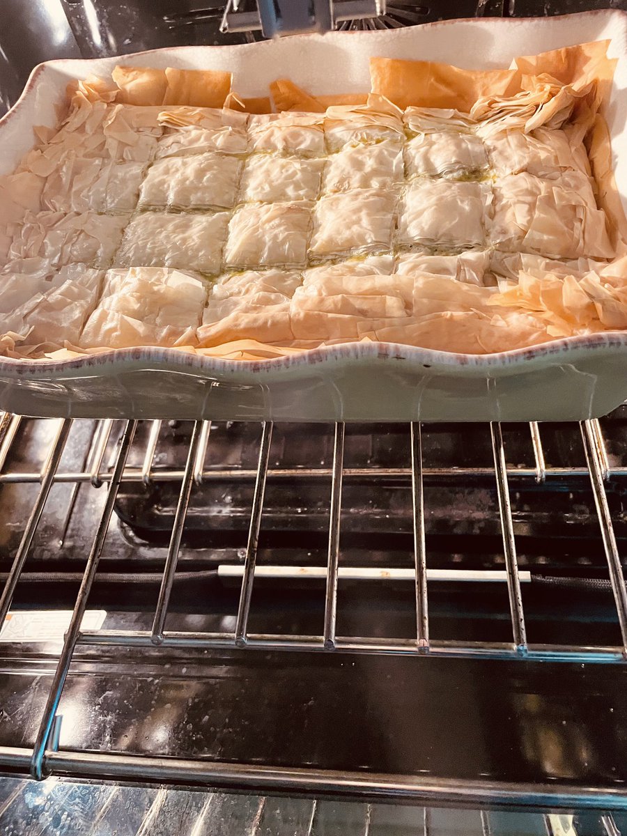 Gia Broken Spirit Horse🪶🟧🟦 tweet media