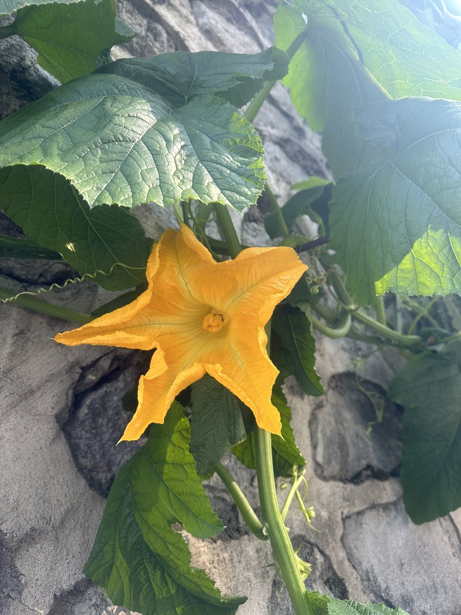 Elline kalbine götürdü Neşet Ertaş ve dediki;
“Burası var ya burası,taşa toprağa gerek kalmadan insanın gömüldüğü tek yer..”☺️