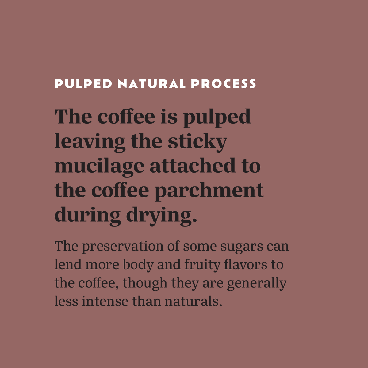 Casa Brasil Coffees tweet media