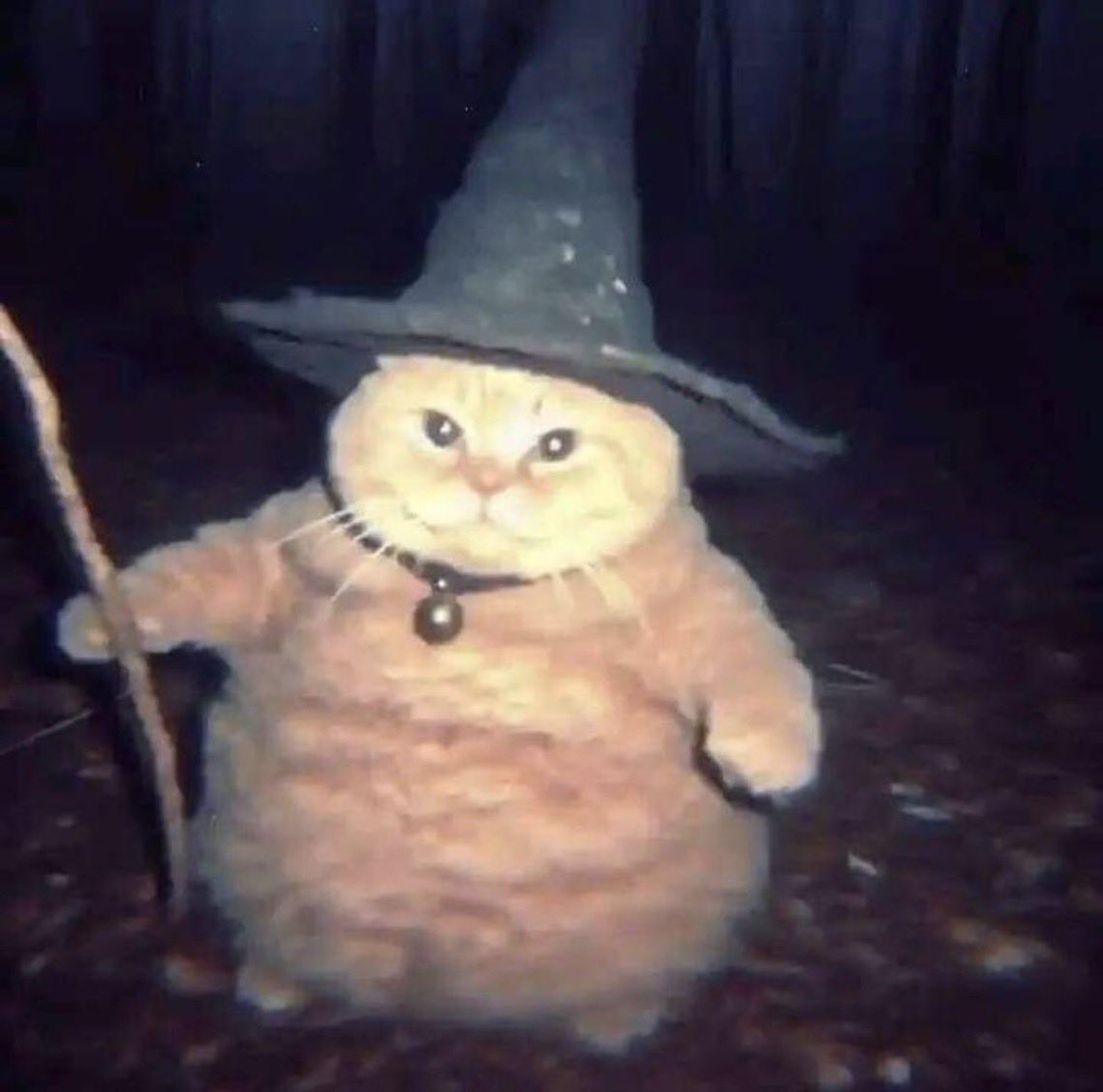 🧙‍♂️