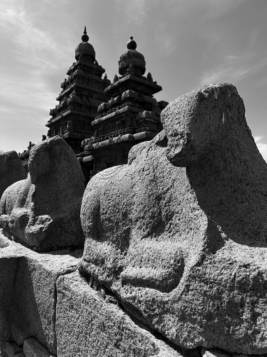 builthistories's tweet photo. Various views of Shore Temple, Mahabalipuram, Chengalpattu, Tamil Nadu. Early 8th Cen CE, it is the earliest structural temple built by Narasimhavarman II of the Pallava Dynasty. 

#shoretemple #mahabalipuram #tamilnadu #worldheritage #shotoniphone #architecturephotography https://t.co/QESz0K4VdW