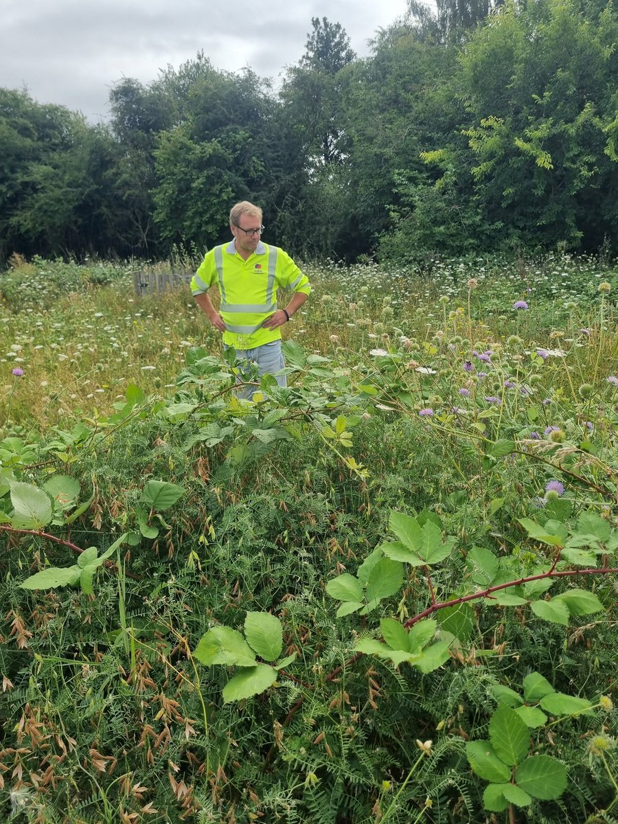 Medeshamstede Academy tweet media