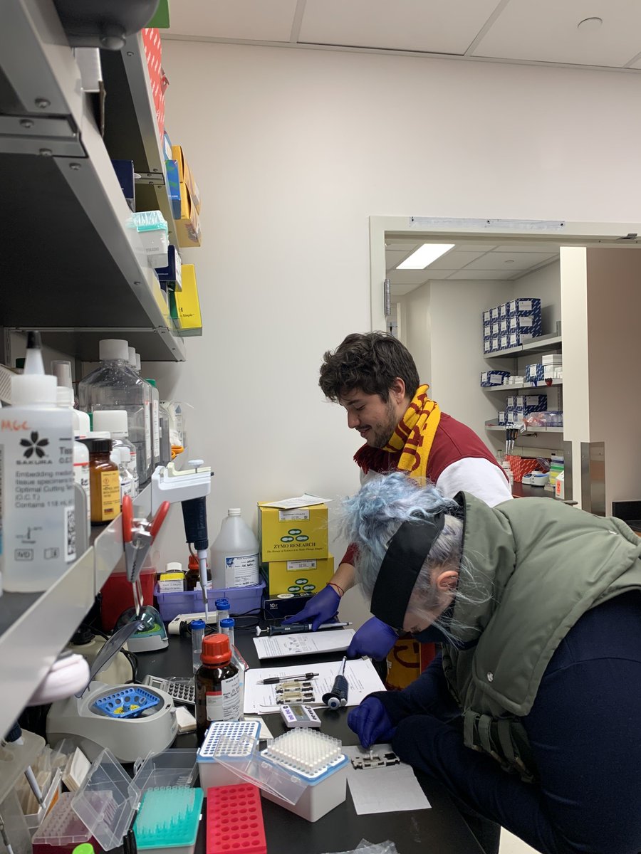 Gregory Lab (@thegregorylab) on Twitter photo Today, the #DukeMGC is celebrating our 300th <a href="/10xGenomics/">10x Genomics</a> #Xenium sample run! 🥳🥂
From March 2023 to now, we've run human & mouse samples for many PIs & projects. Congrats to Emily & Alan of our #SpatialTranscriptomics team on this exciting milestone. Keep up the #insitu work! Today, the #DukeMGC is celebrating our 300th <a href="/10xGenomics/">10x Genomics</a> #Xenium sample run! 🥳🥂
From March 2023 to now, we've run human & mouse samples for many PIs & projects. Congrats to Emily & Alan of our #SpatialTranscriptomics team on this exciting milestone. Keep up the #insitu work!