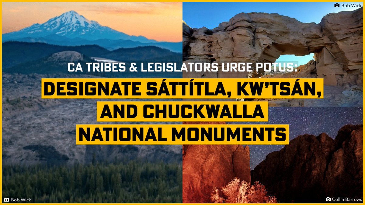 Protect California Deserts tweet media