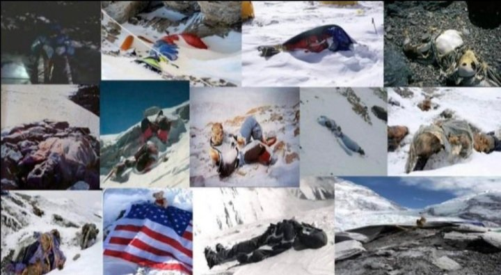 Franklin tweet media