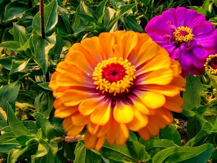 Henry Lucas (@henrylucas0705) on Twitter photo 