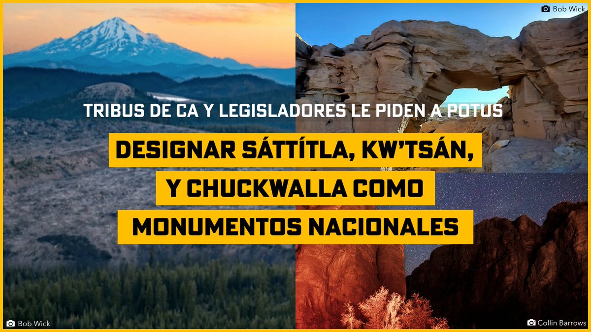 Protect California Deserts tweet media