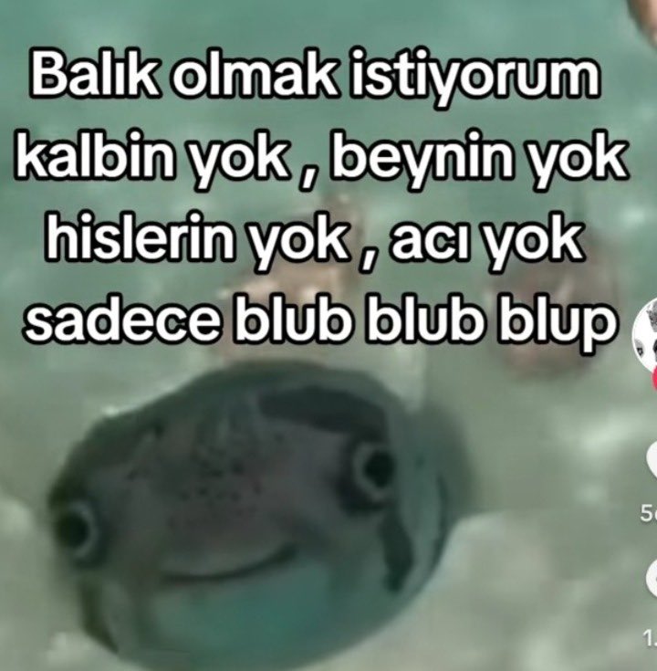 ANLIK (@anlikmod) on Twitter photo 