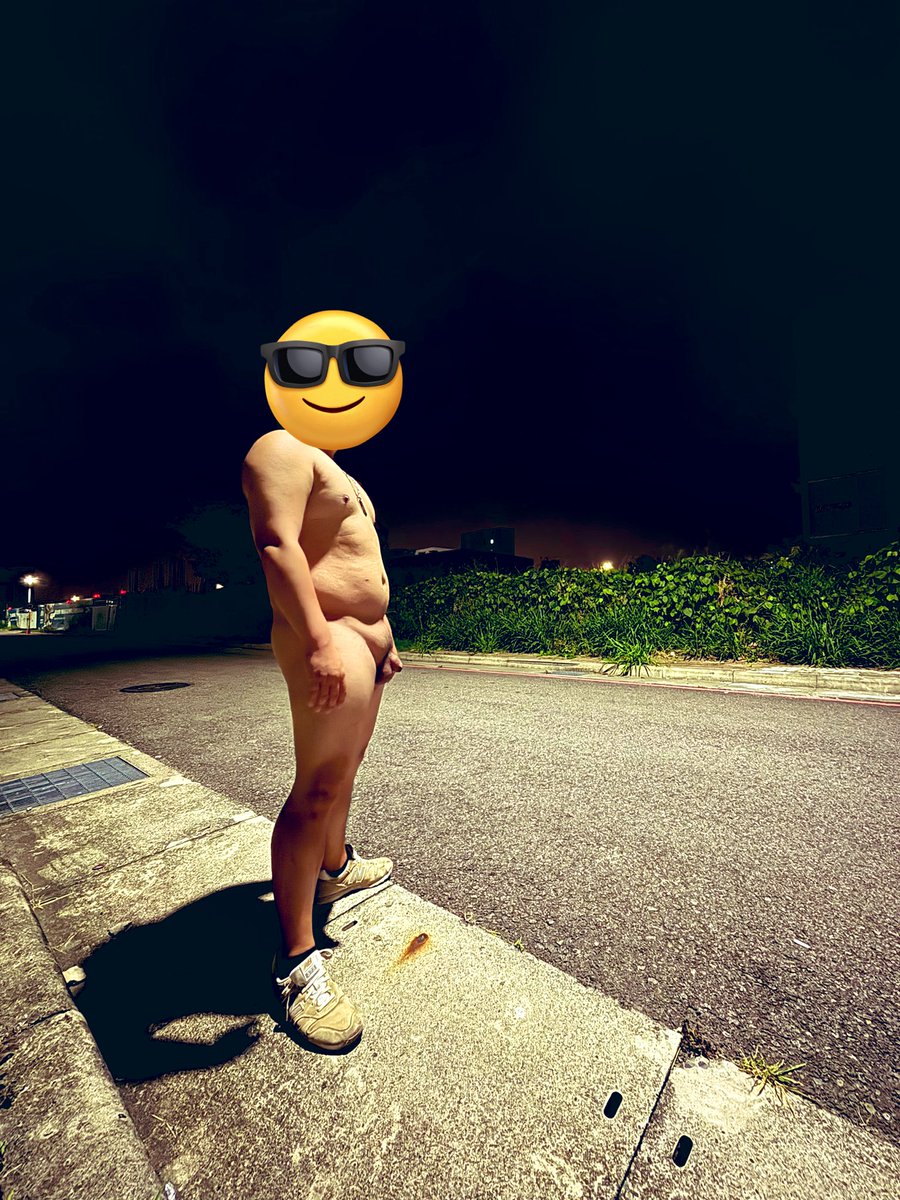深夜
在沒有人的小巷
誰要來摸大象