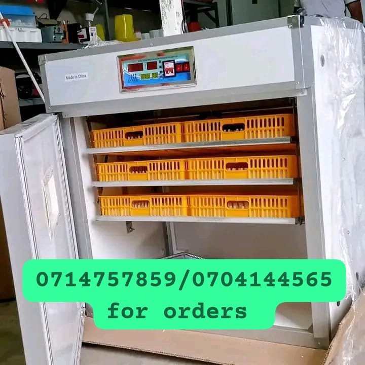 Dommietoo's tweet photo. 528@60,000
Imported model 
Full hatcher
Automatic turning of eggs 
XM 18D controller 
Cream fan https://t.co/OIxJw2pHD5