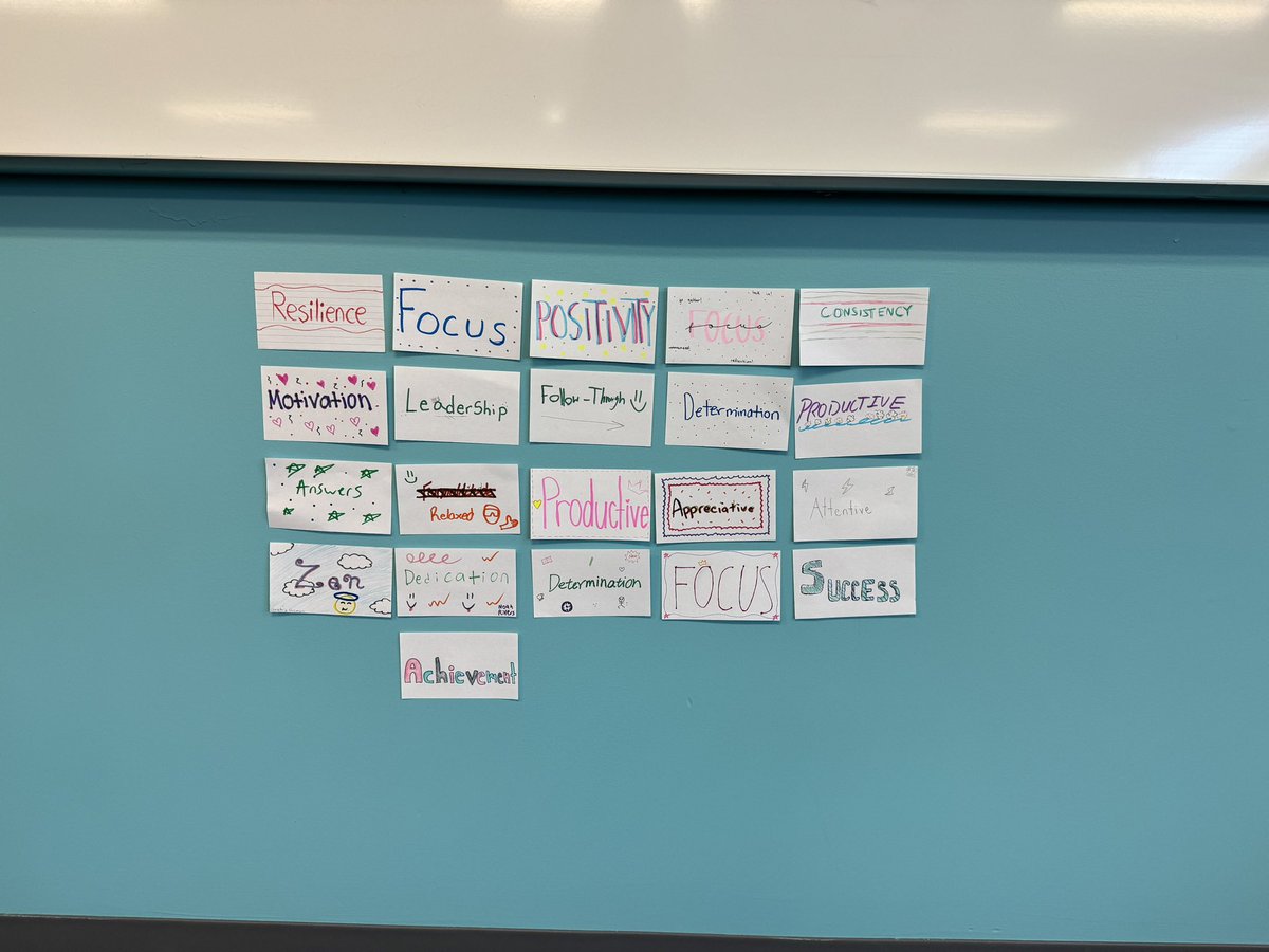 My IB L&amp;L kids have each chosen a focus for the year #nbpseagles