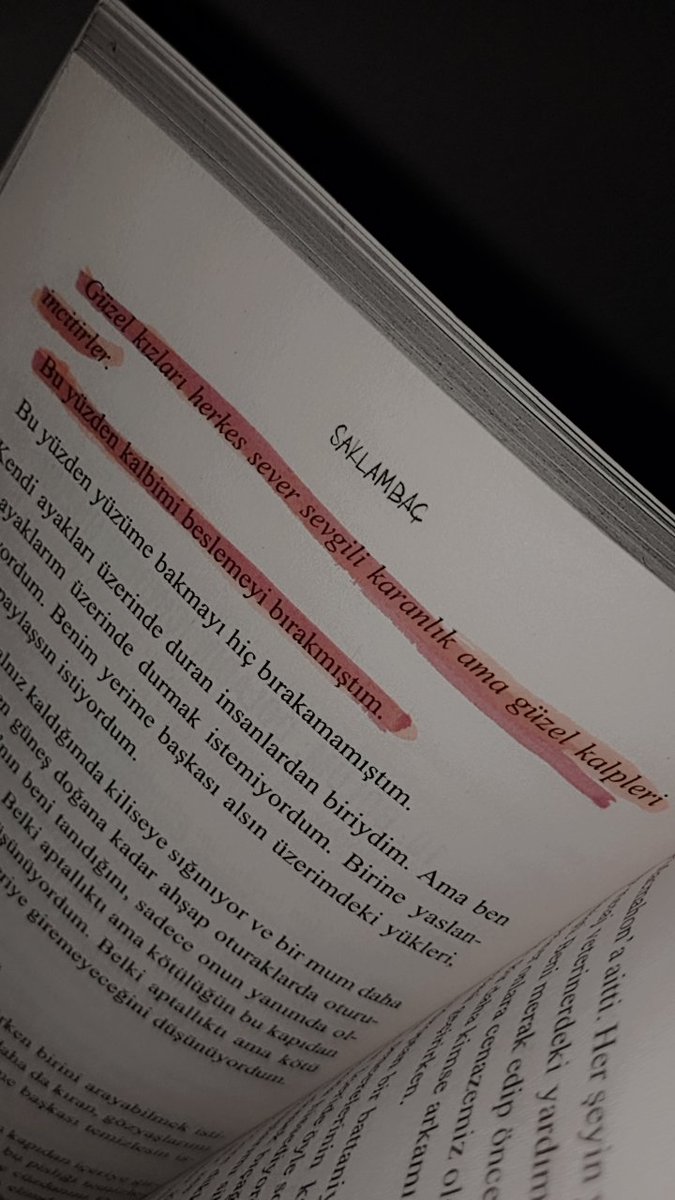 Güzel kızları herkes sever  sevgili karanlık ama güzel kalpleri incitirler.

     Bu yüzden kalbimi beslemeyi bırakmıştım.