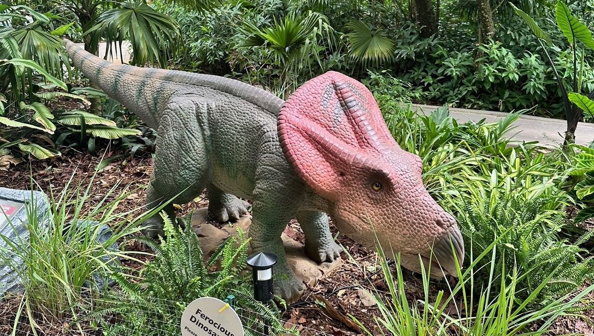 Arts Calendar tweet media